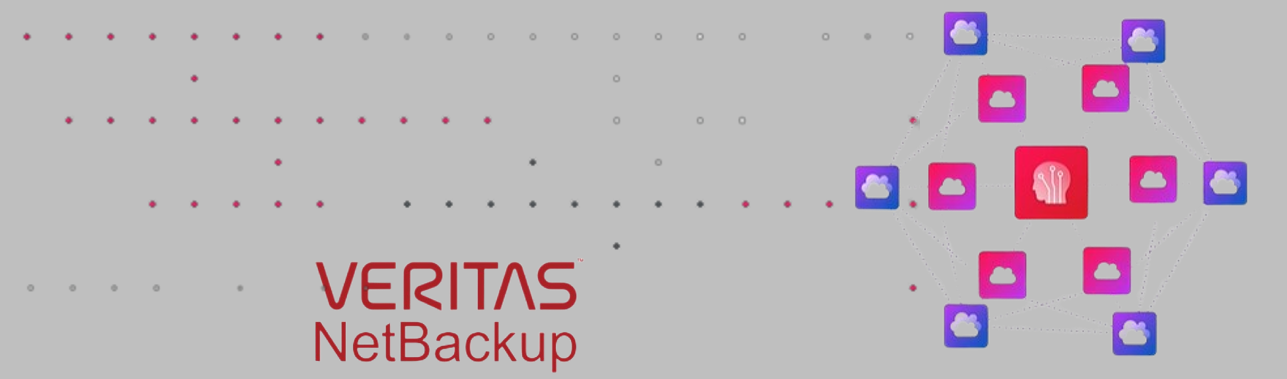 VERITAS NETBACKUP